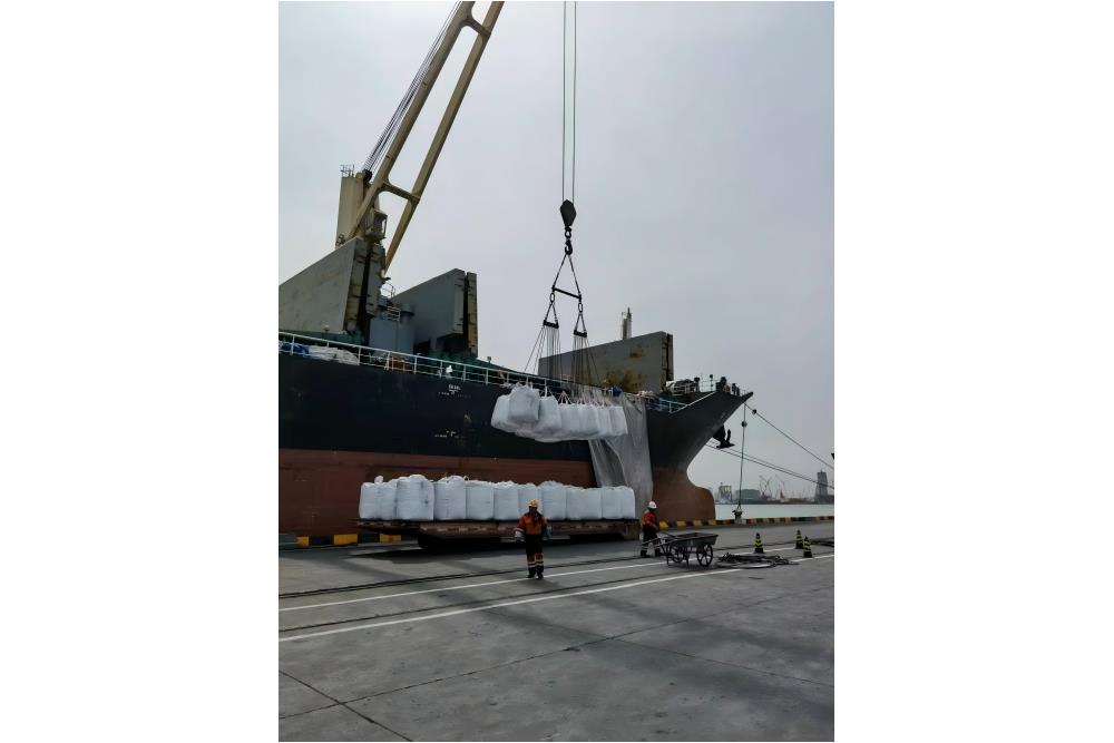 Break bulk case study